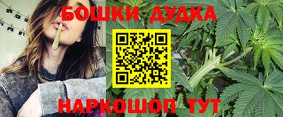 сатива Дубна