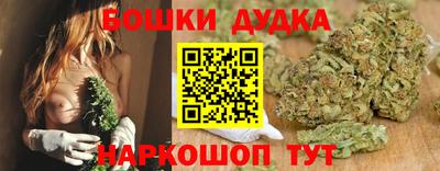 сатива Дубна